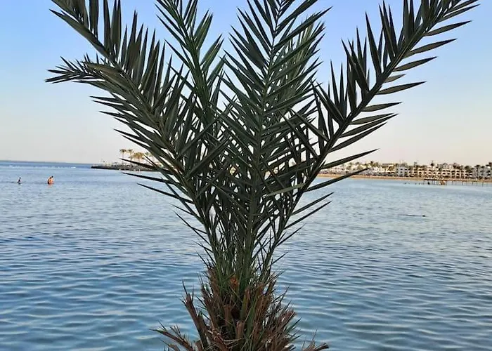 Tiba Golden With Private * Hurghada